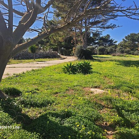 Vila Sogni Nel Blu Favignana Exteriér fotografie