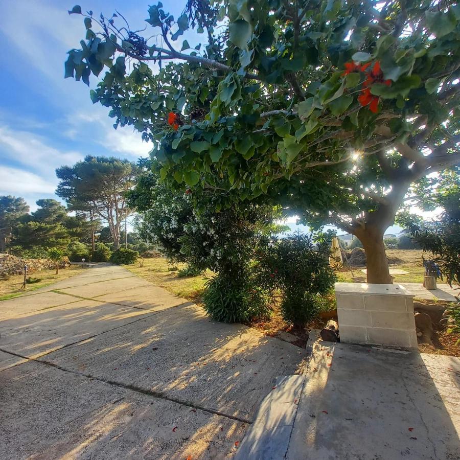 Vila Sogni Nel Blu Favignana Exteriér fotografie