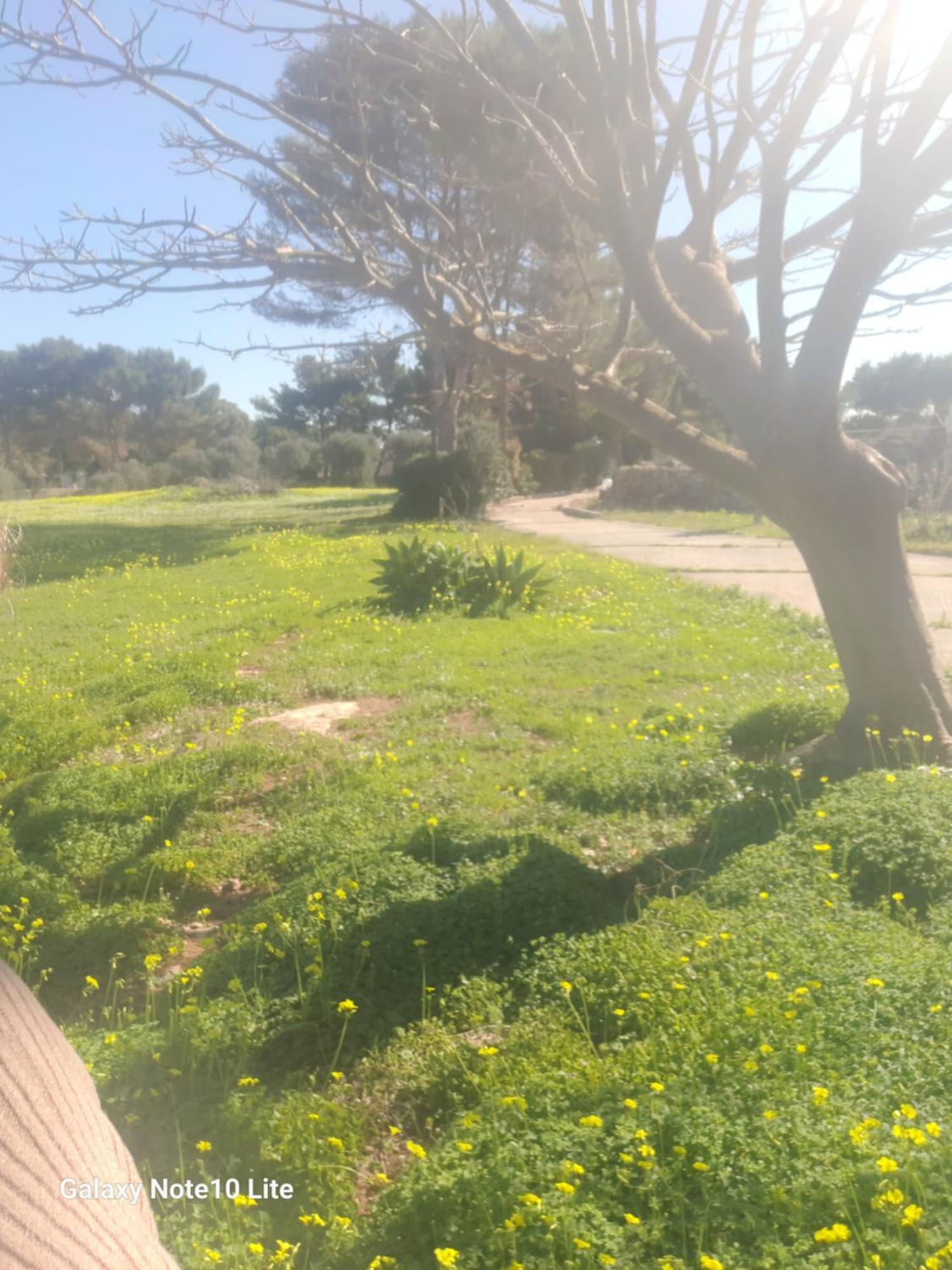 Vila Sogni Nel Blu Favignana Exteriér fotografie