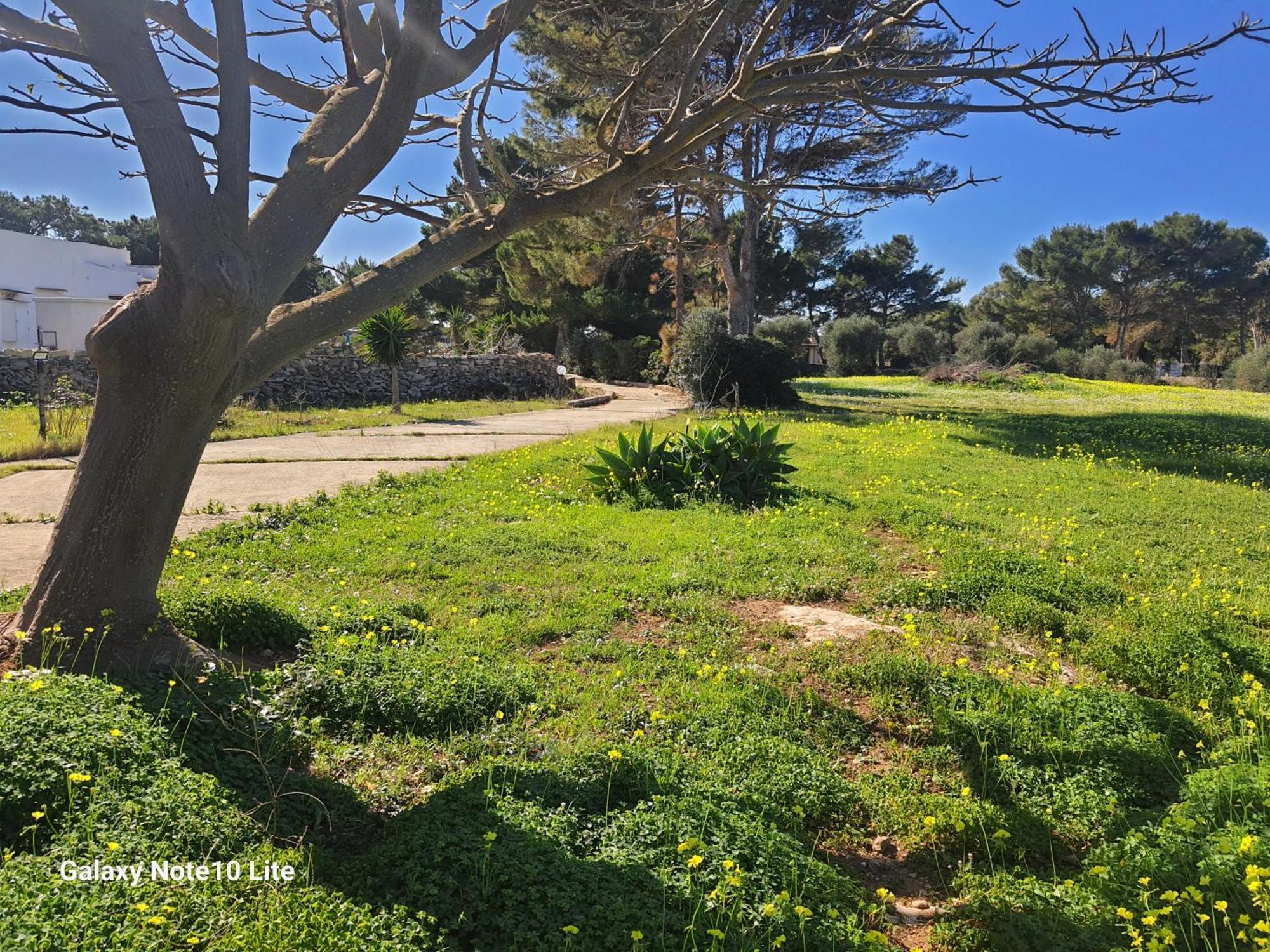 Vila Sogni Nel Blu Favignana Exteriér fotografie